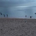IMG_20180703_161317